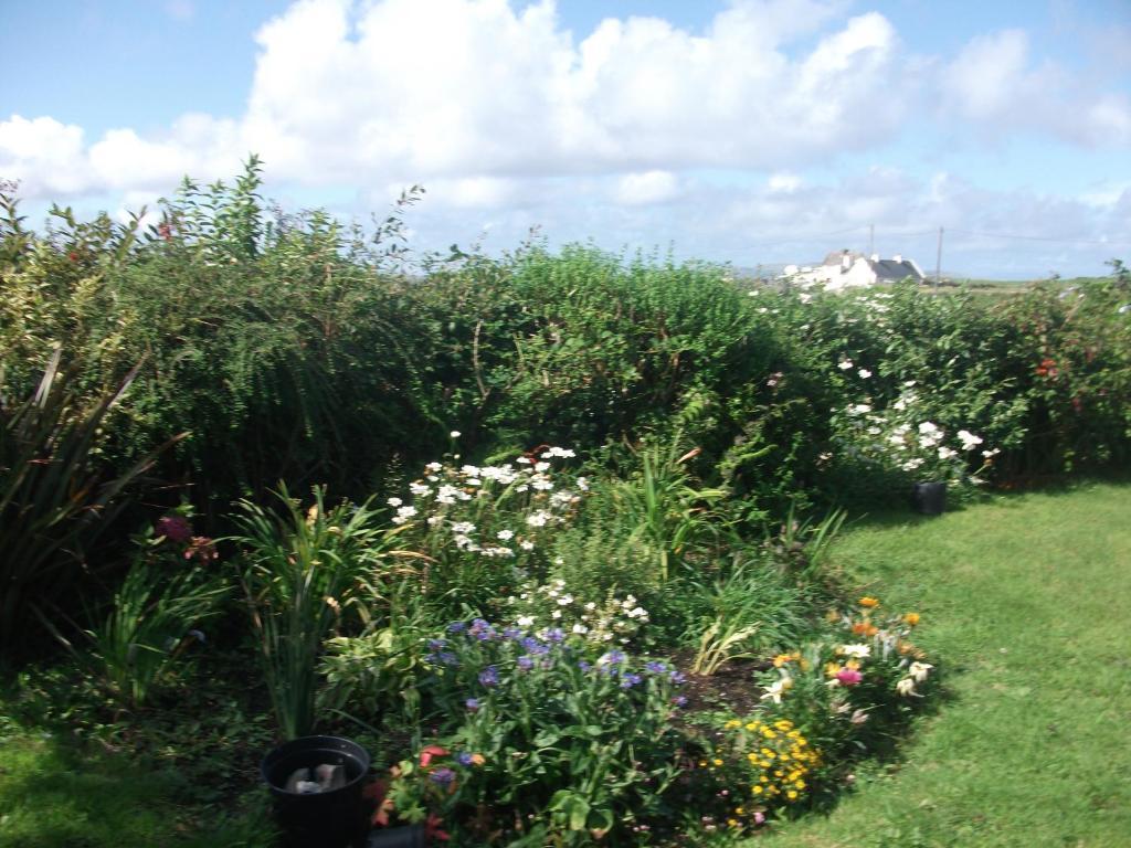 Fuchsia House Bed And Breakfast Connemara Renvyle Exterior foto